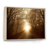 Path to Sunlight in Autumn Forest