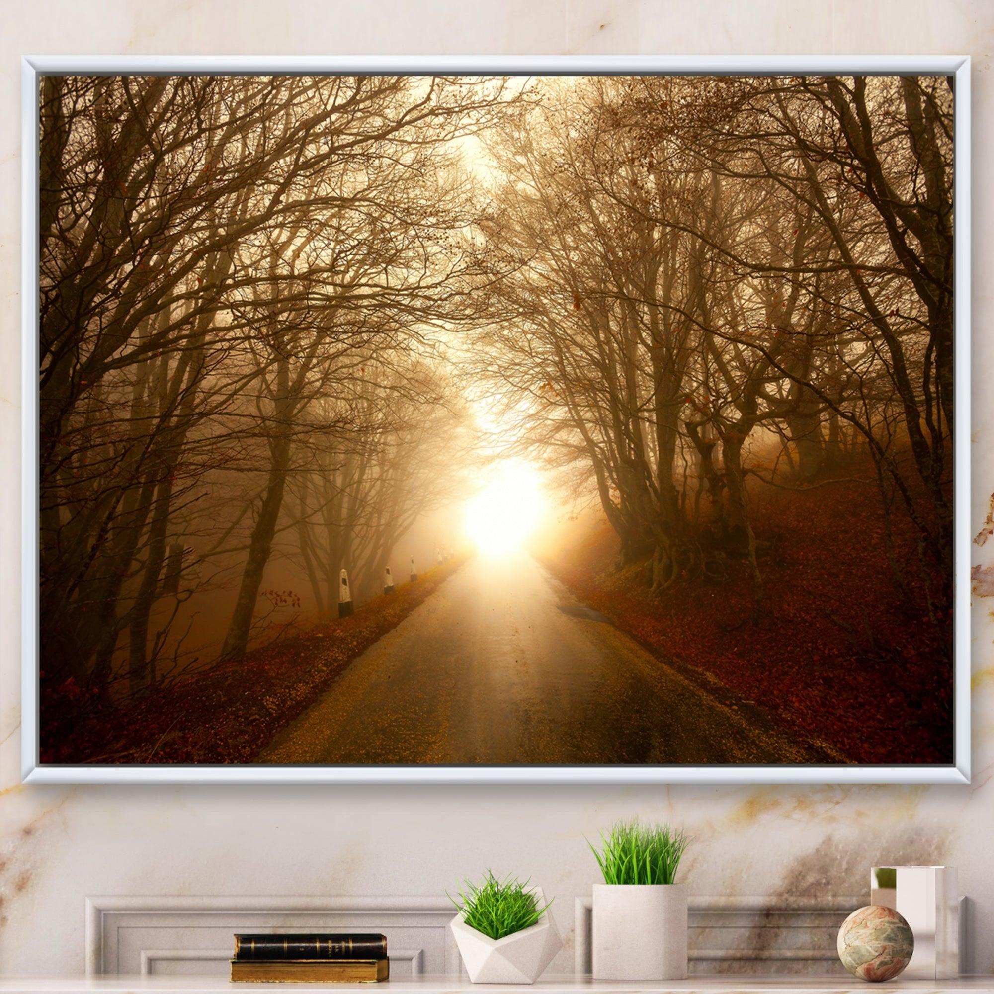 Path to Sunlight in Autumn Forest