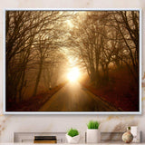 Path to Sunlight in Autumn Forest