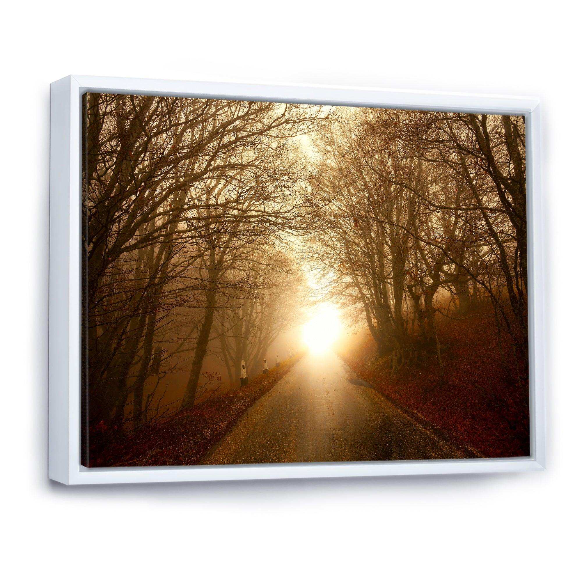 Path to Sunlight in Autumn Forest