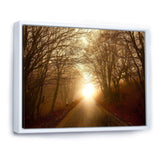 Path to Sunlight in Autumn Forest