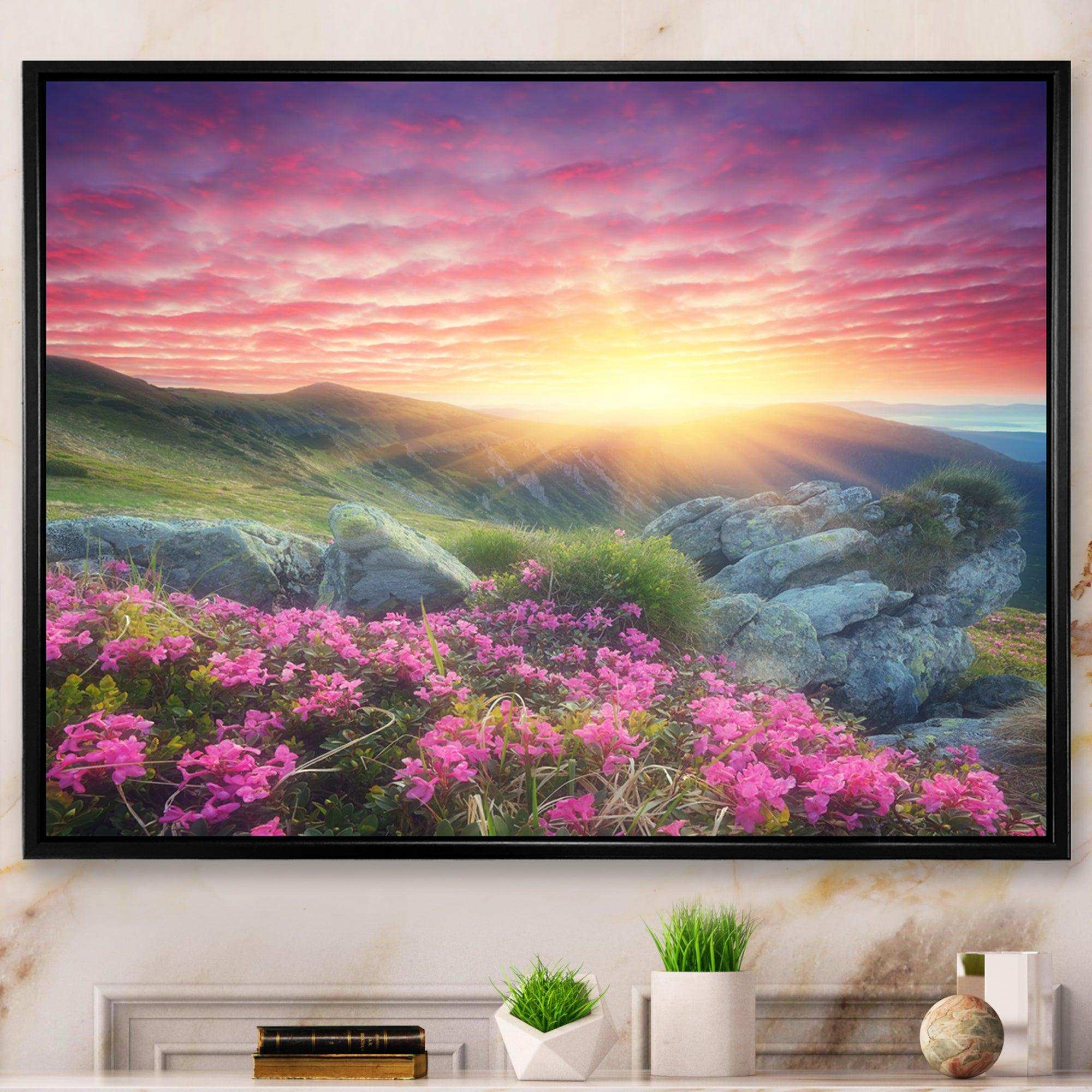 Morning with Flowers in Mountains