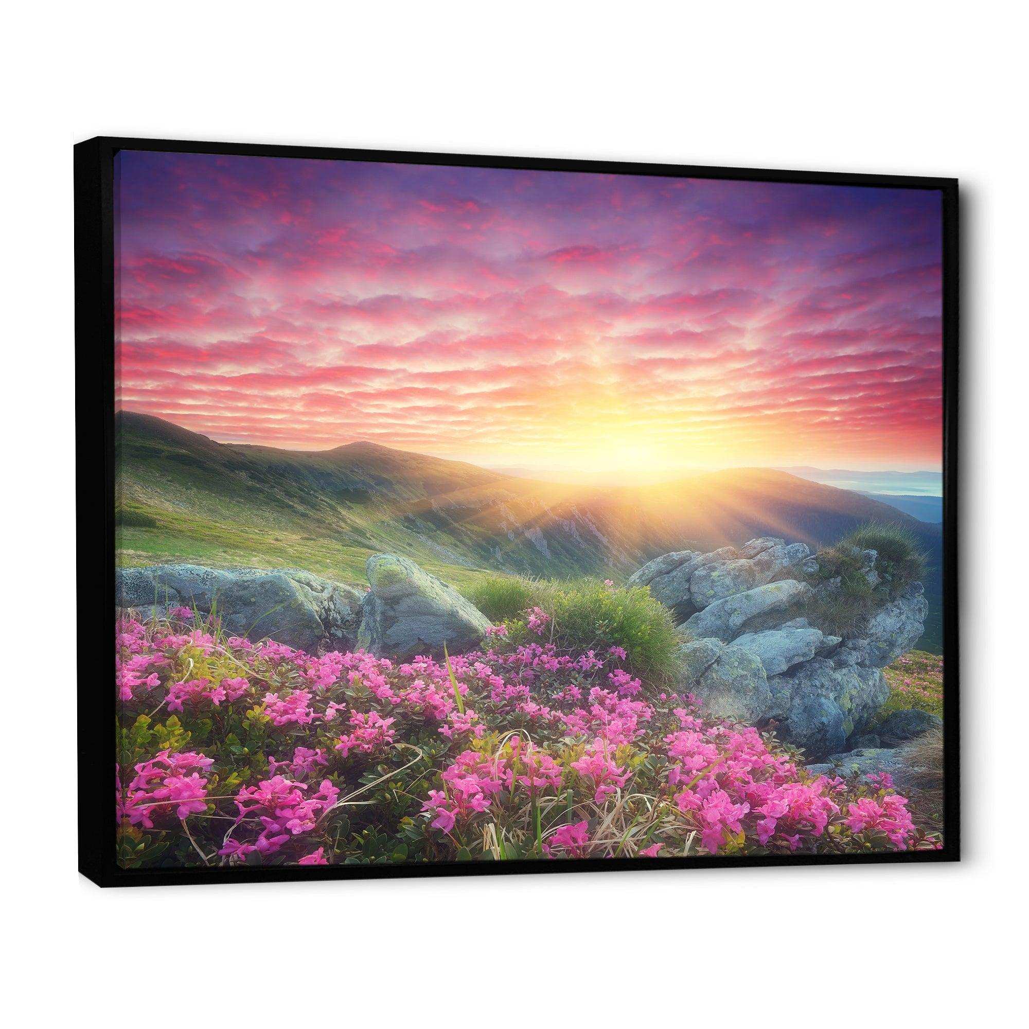 Morning with Flowers in Mountains