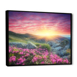 Morning with Flowers in Mountains