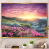 Morning with Flowers in Mountains