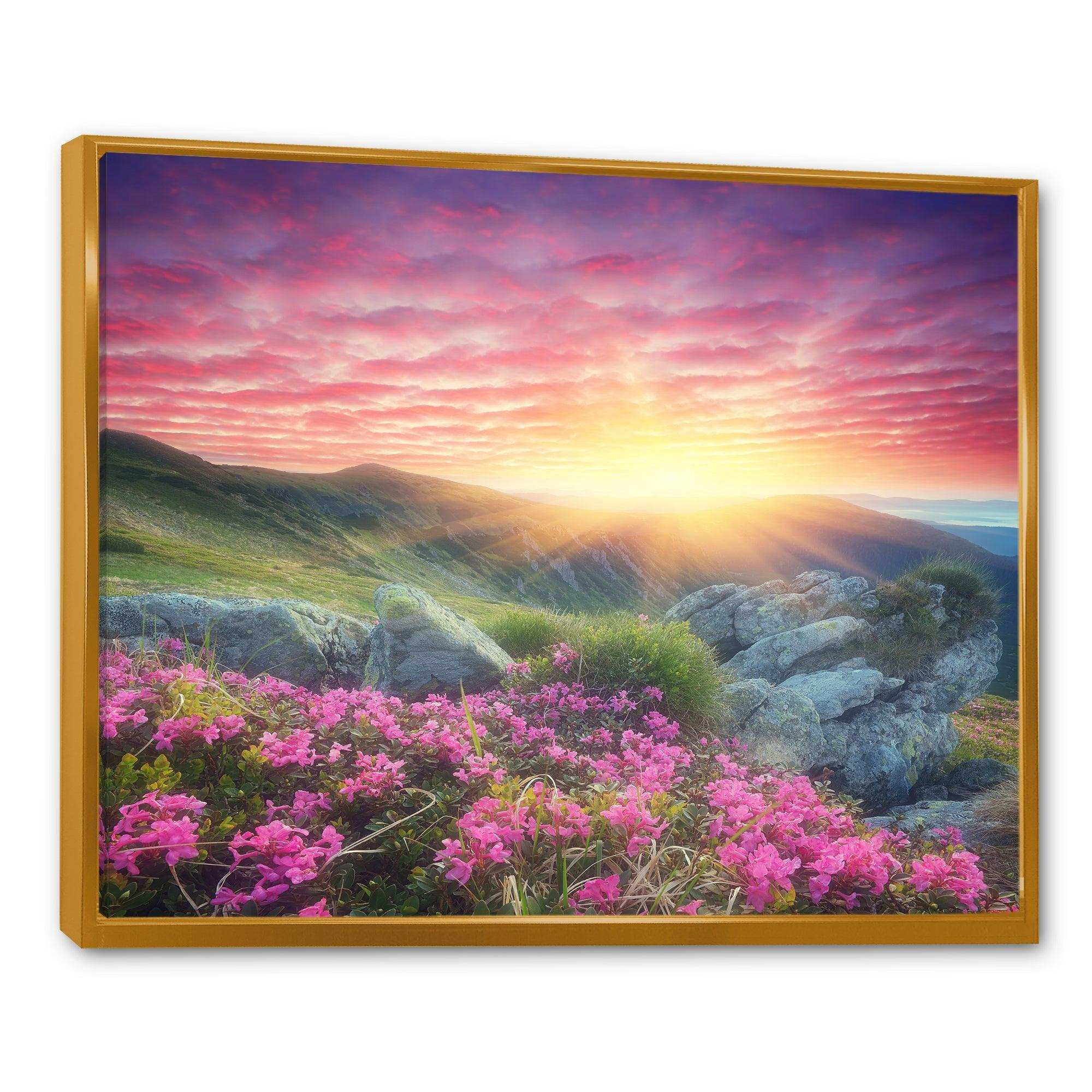 Morning with Flowers in Mountains