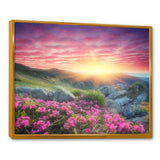 Morning with Flowers in Mountains