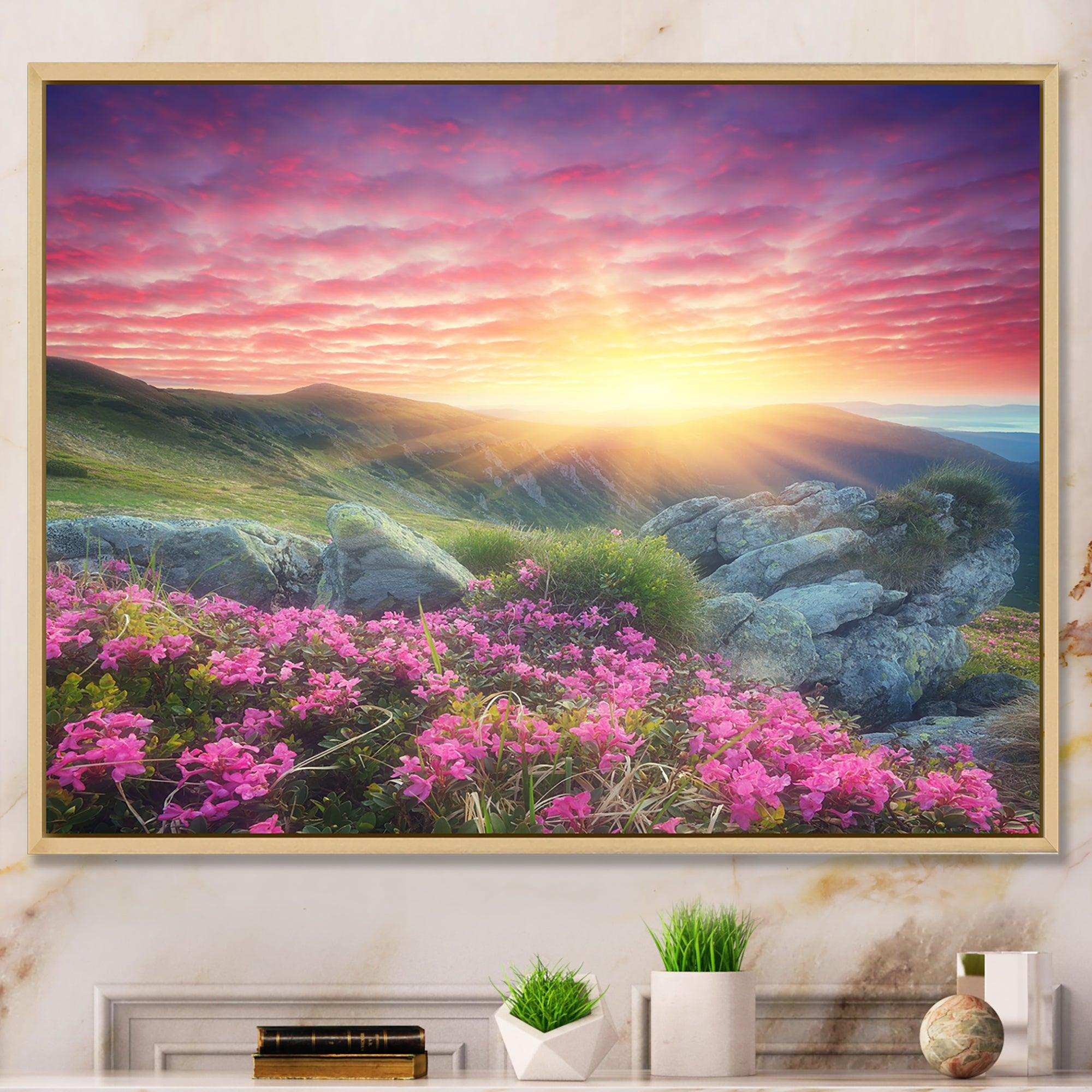 Morning with Flowers in Mountains