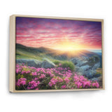 Morning with Flowers in Mountains