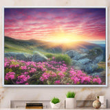 Morning with Flowers in Mountains