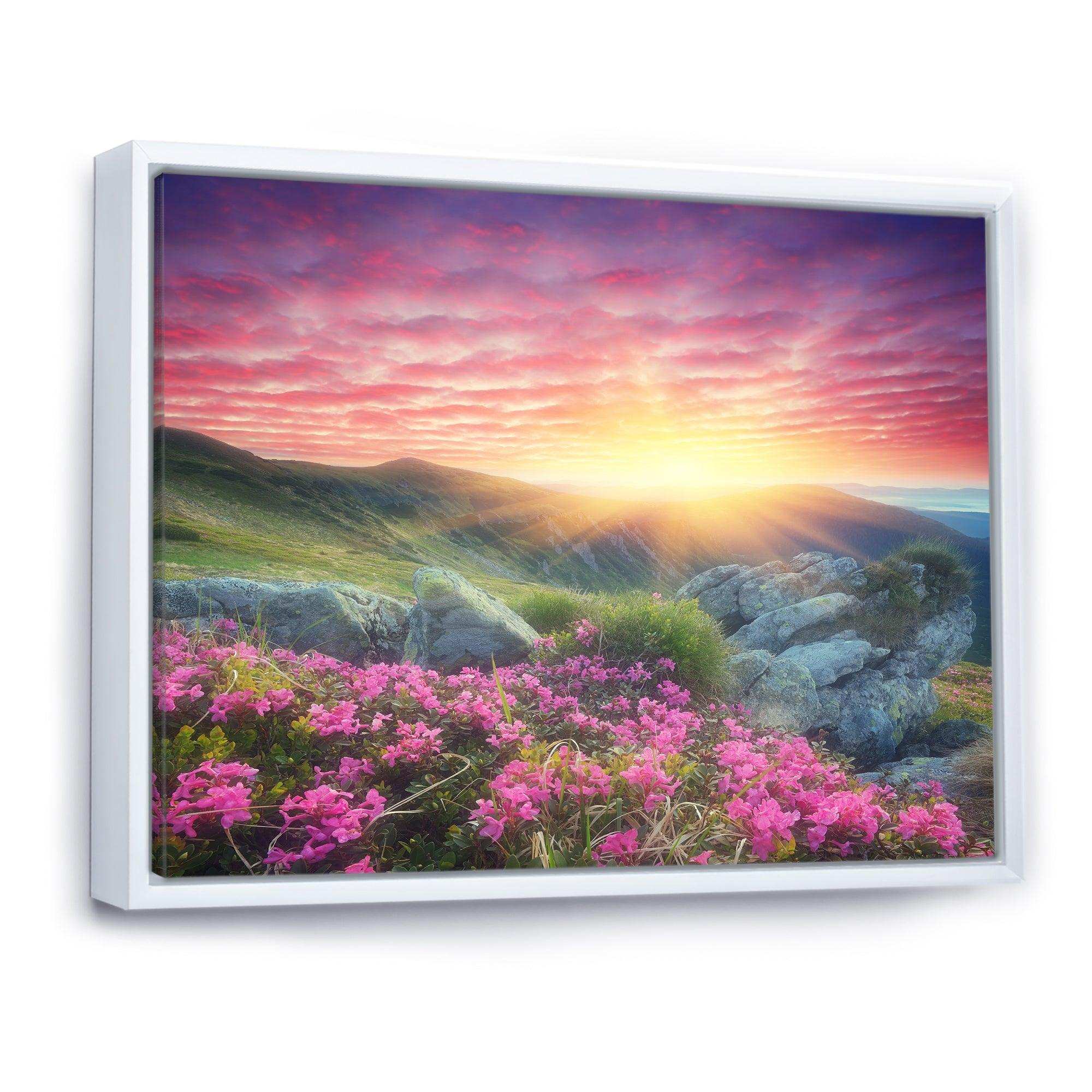 Morning with Flowers in Mountains