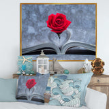 Red Rose Inside the Book