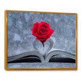 Red Rose Inside the Book