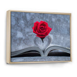 Red Rose Inside the Book