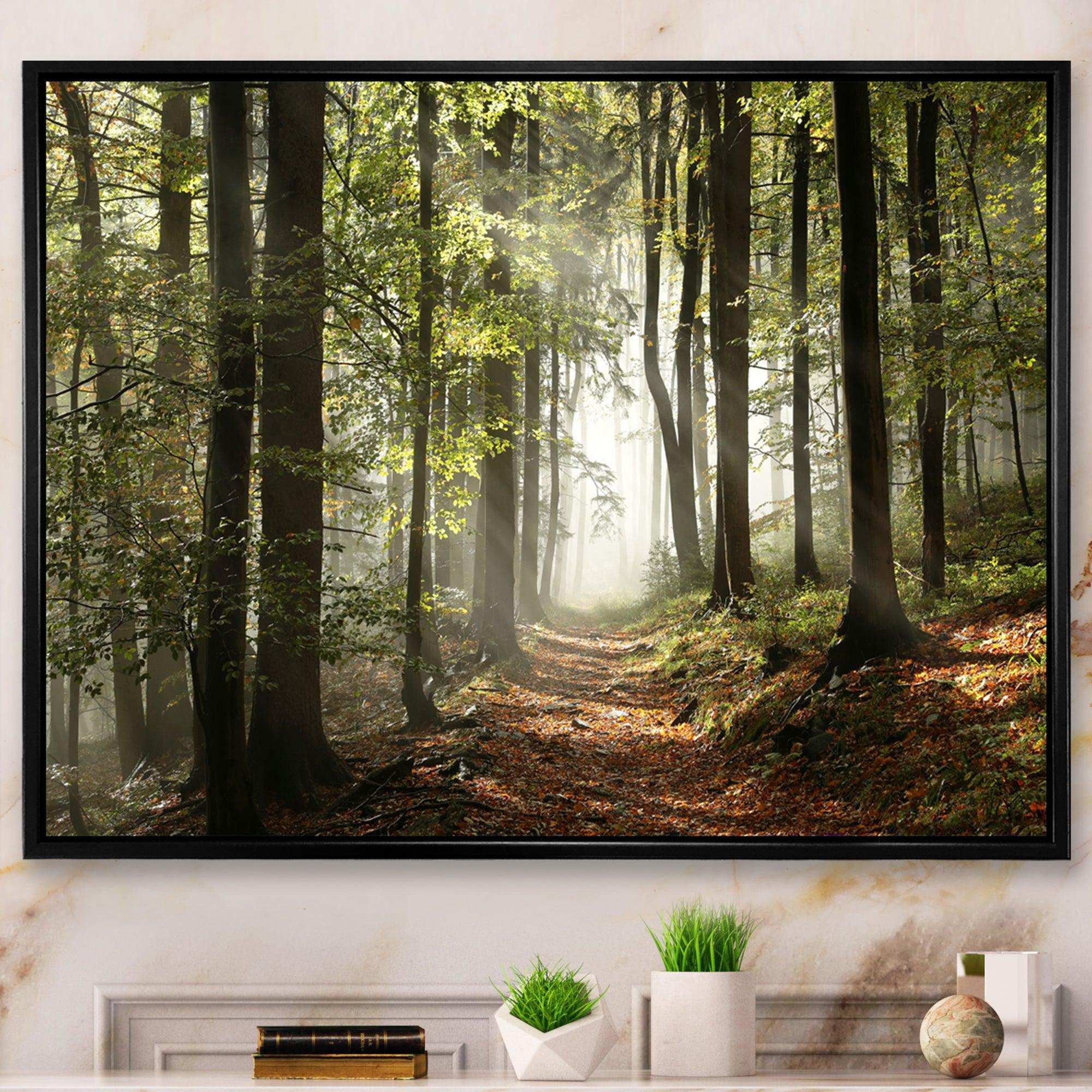 Green Fall Forest with Sun Rays