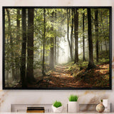 Green Fall Forest with Sun Rays