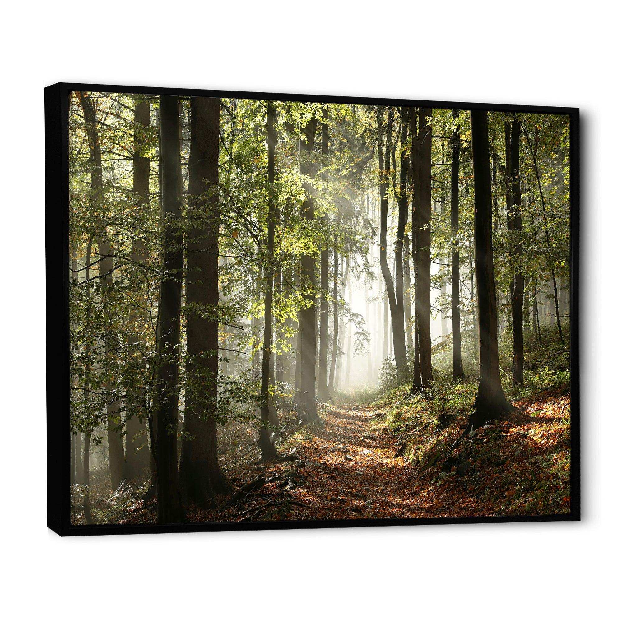 Green Fall Forest with Sun Rays