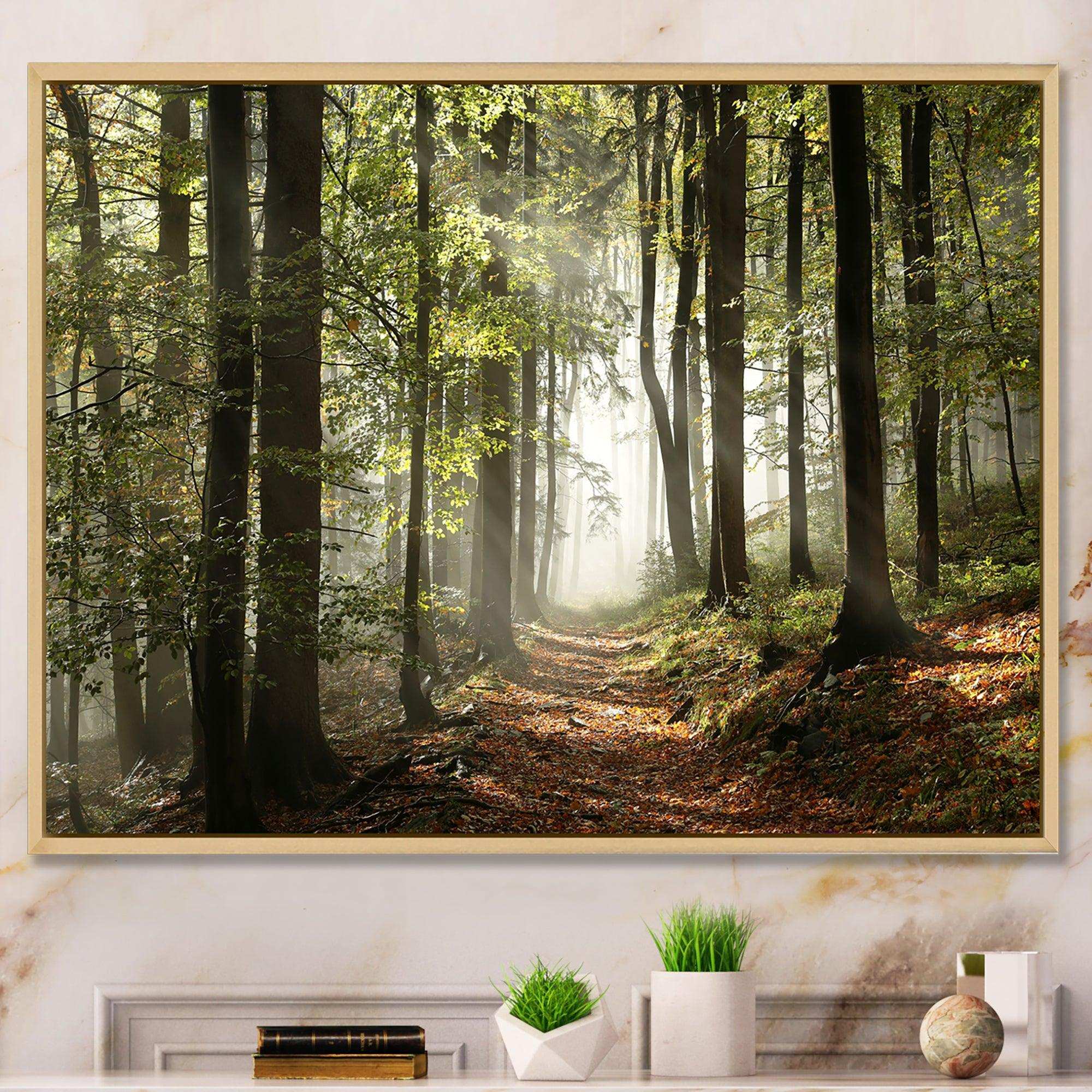 Green Fall Forest with Sun Rays