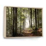 Green Fall Forest with Sun Rays