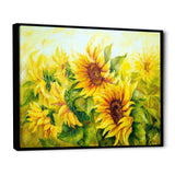 Bright Yellow Sunny Sunflowers