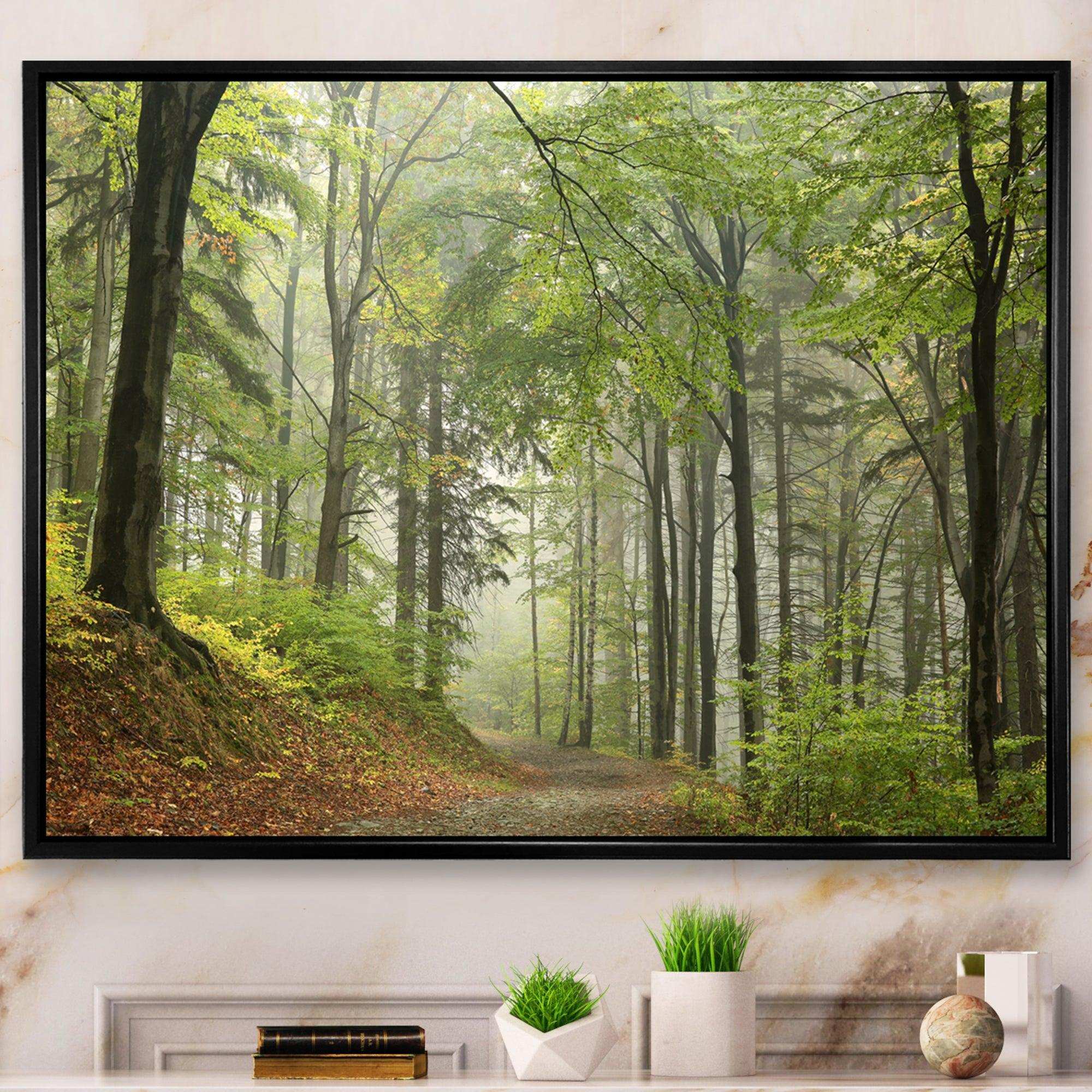 Green Beach Forest Pathway