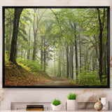 Green Beach Forest Pathway