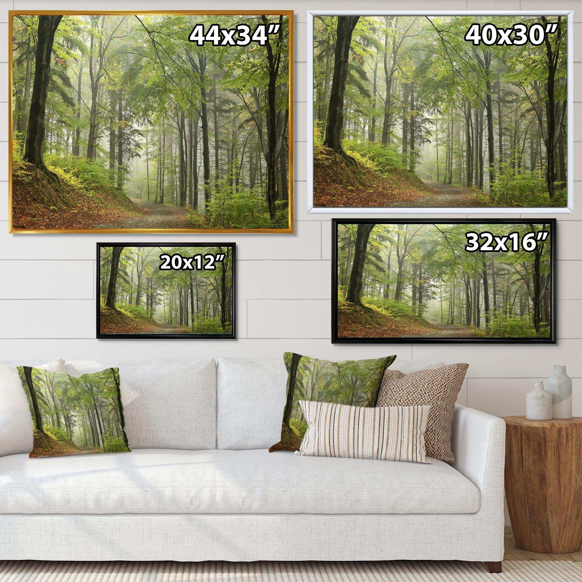 Green Beach Forest Pathway