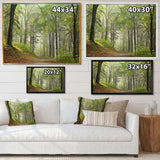 Green Beach Forest Pathway