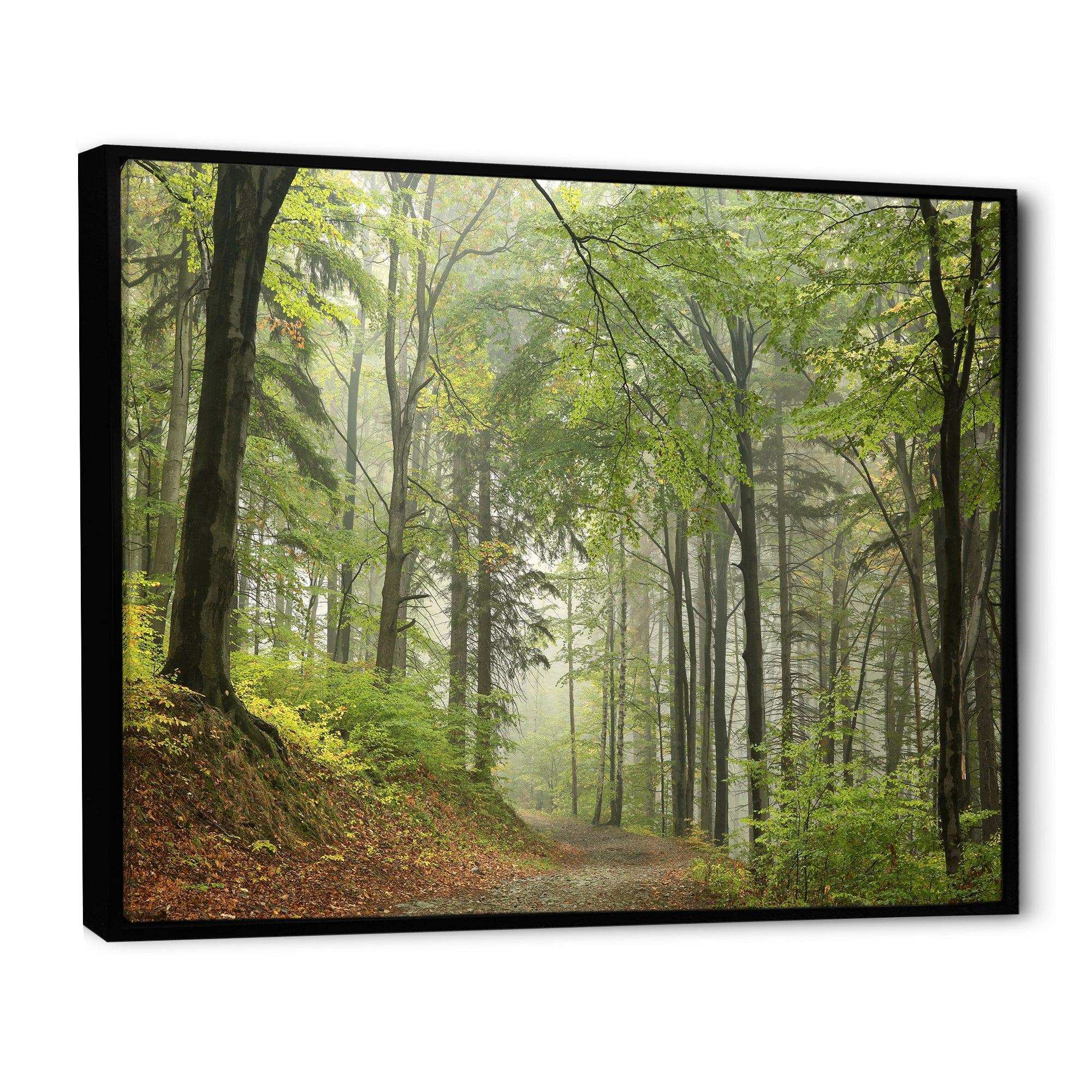 Green Beach Forest Pathway