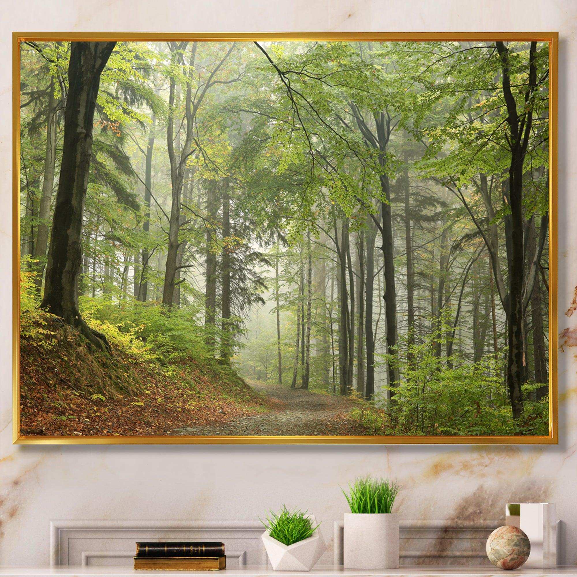 Green Beach Forest Pathway