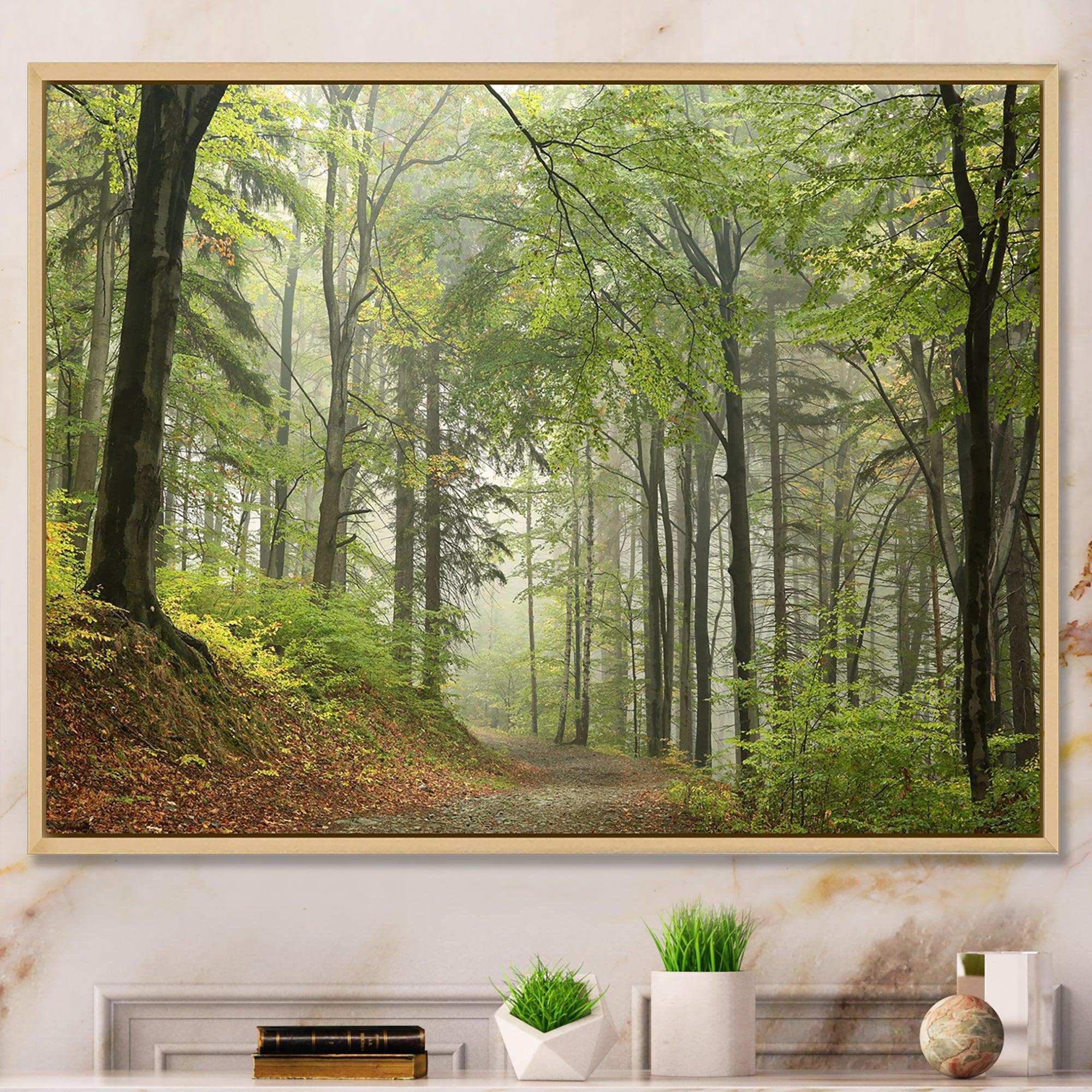 Green Beach Forest Pathway