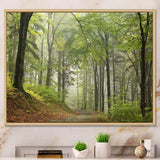 Green Beach Forest Pathway