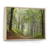 Green Beach Forest Pathway