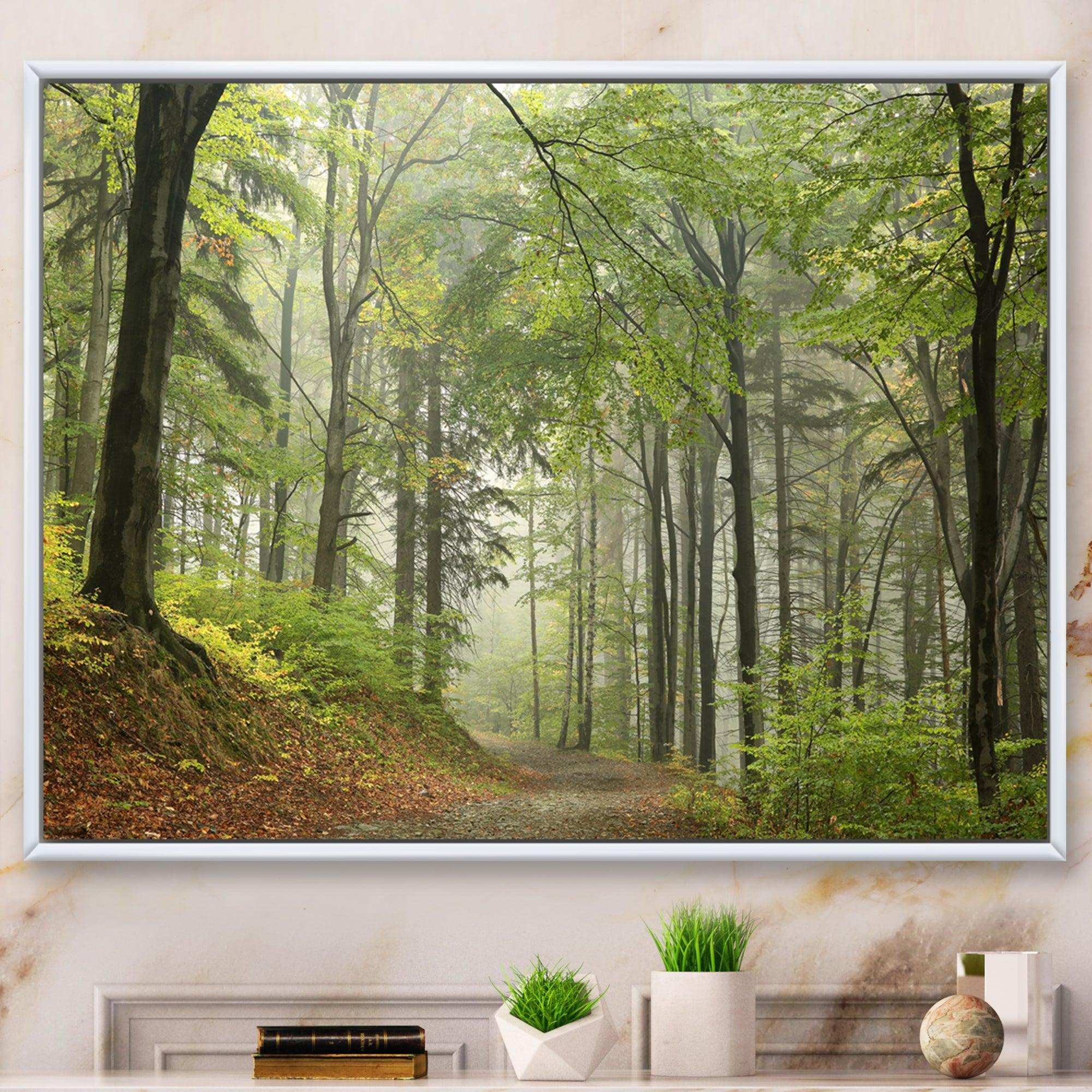 Green Beach Forest Pathway