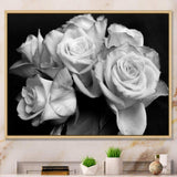 Bunch of Roses Black and White