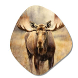 Moose Serenity I - Asymmetric Metal Wall Art