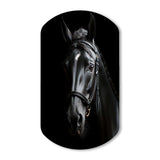 Black And White Horse Elegance - Asymmetric Metal Wall Art