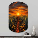 Orange Green Mexican Art Tequila Sunrise - Asymmetric Metal Wall Art