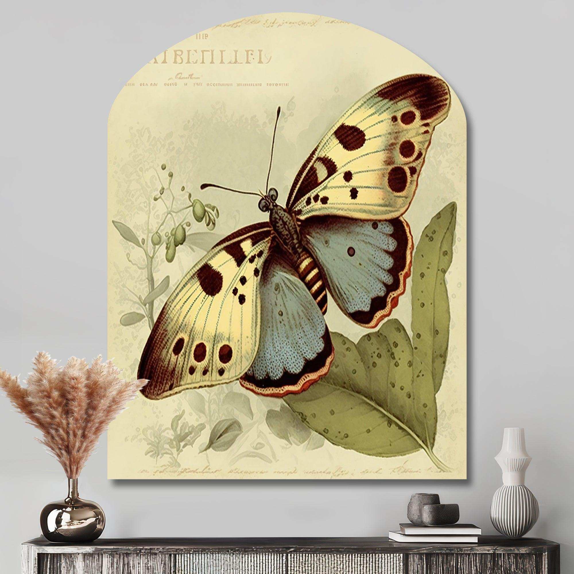 Vintage Illustration Of Butterfly III - Asymmetric Metal Wall Art