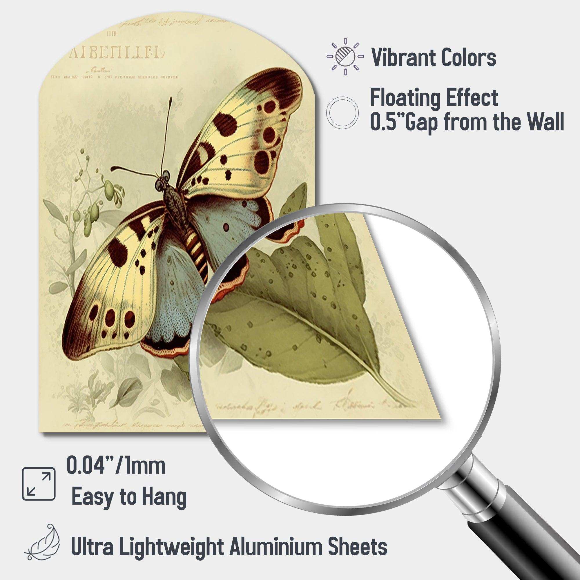 Vintage Illustration Of Butterfly III - Asymmetric Metal Wall Art