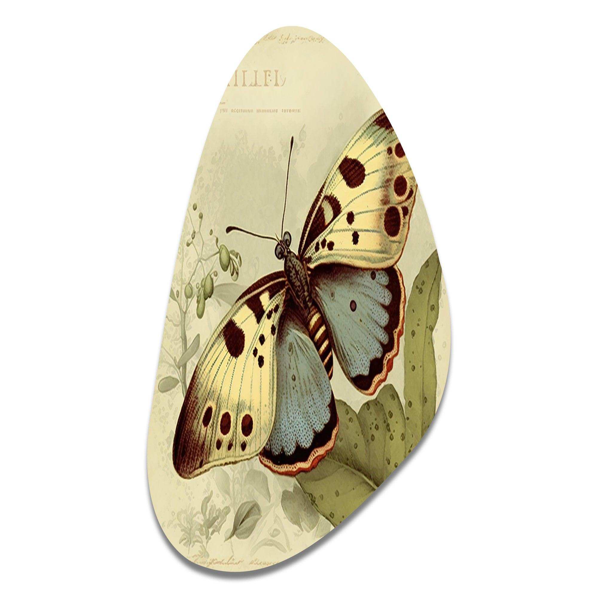 Vintage Illustration Of Butterfly III - Asymmetric Metal Wall Art