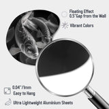 Monochrome Koi Fish - Asymmetric Metal Wall Art