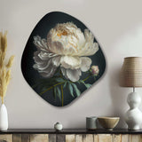 Blooming White Peony V - Asymmetric Metal Wall Art