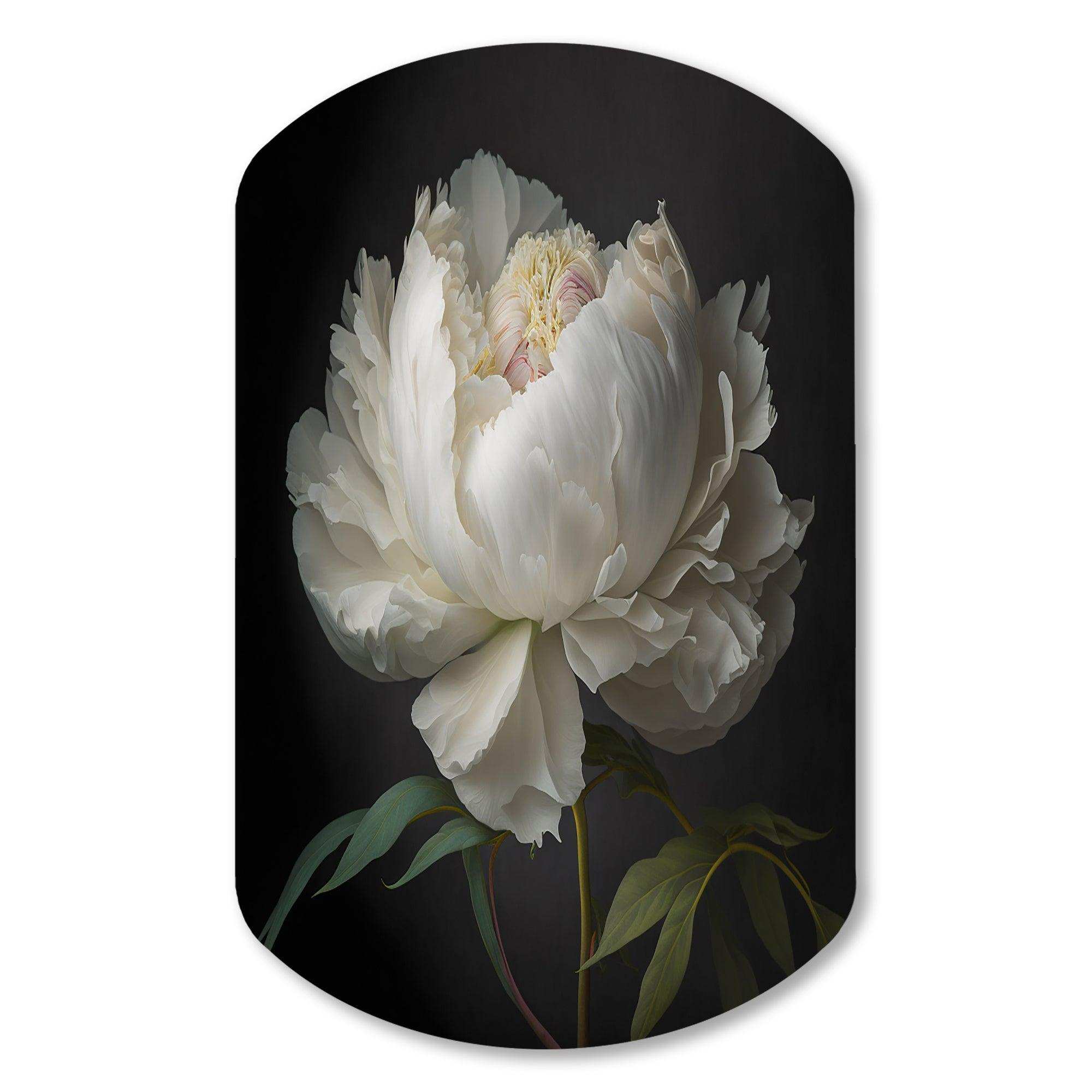 Blooming White Peony VI - Asymmetric Metal Wall Art