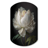 Blooming White Peony VI - Asymmetric Metal Wall Art