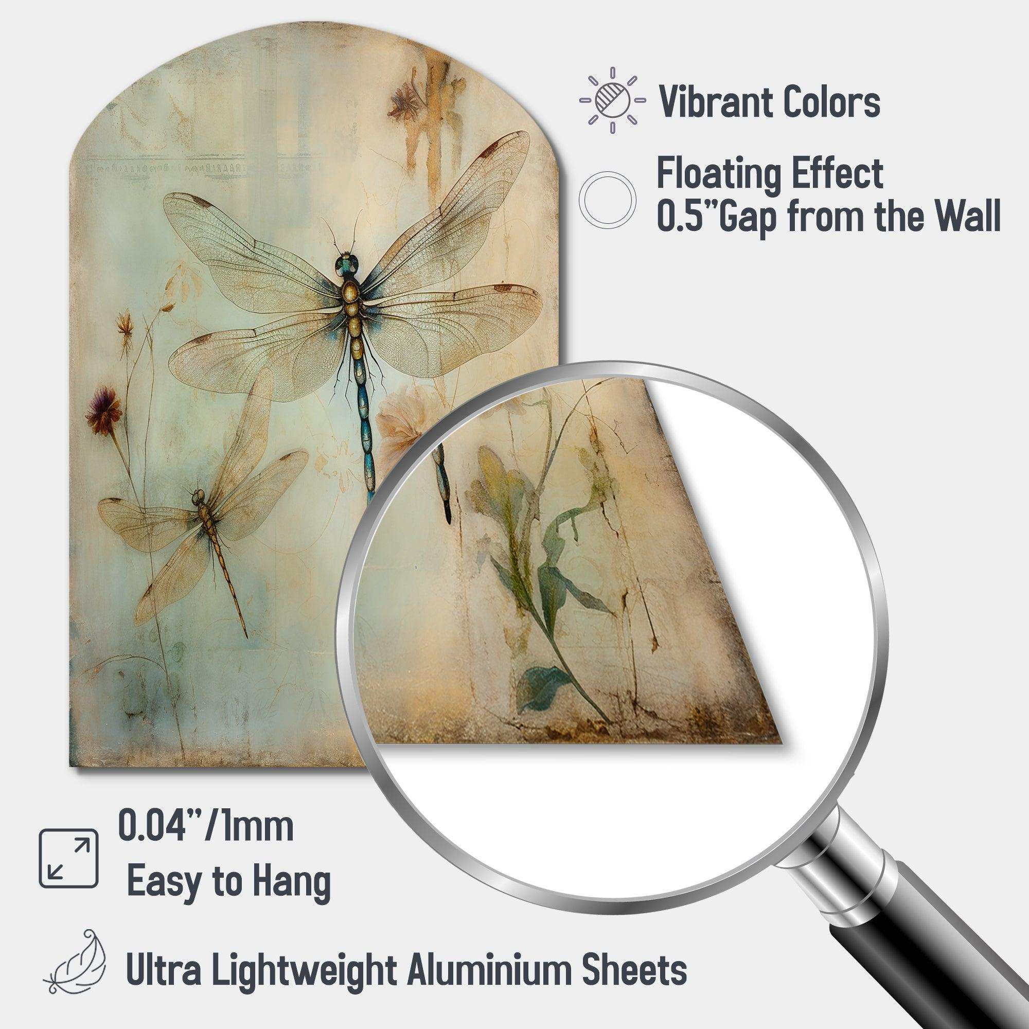 Vintage Painting Of Dragonfly Flying I - Asymmetric Metal Wall Art