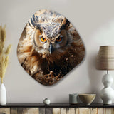 Portrait Of Brown Owl Wildlife Photography - Asymmetric Metal Wall Art