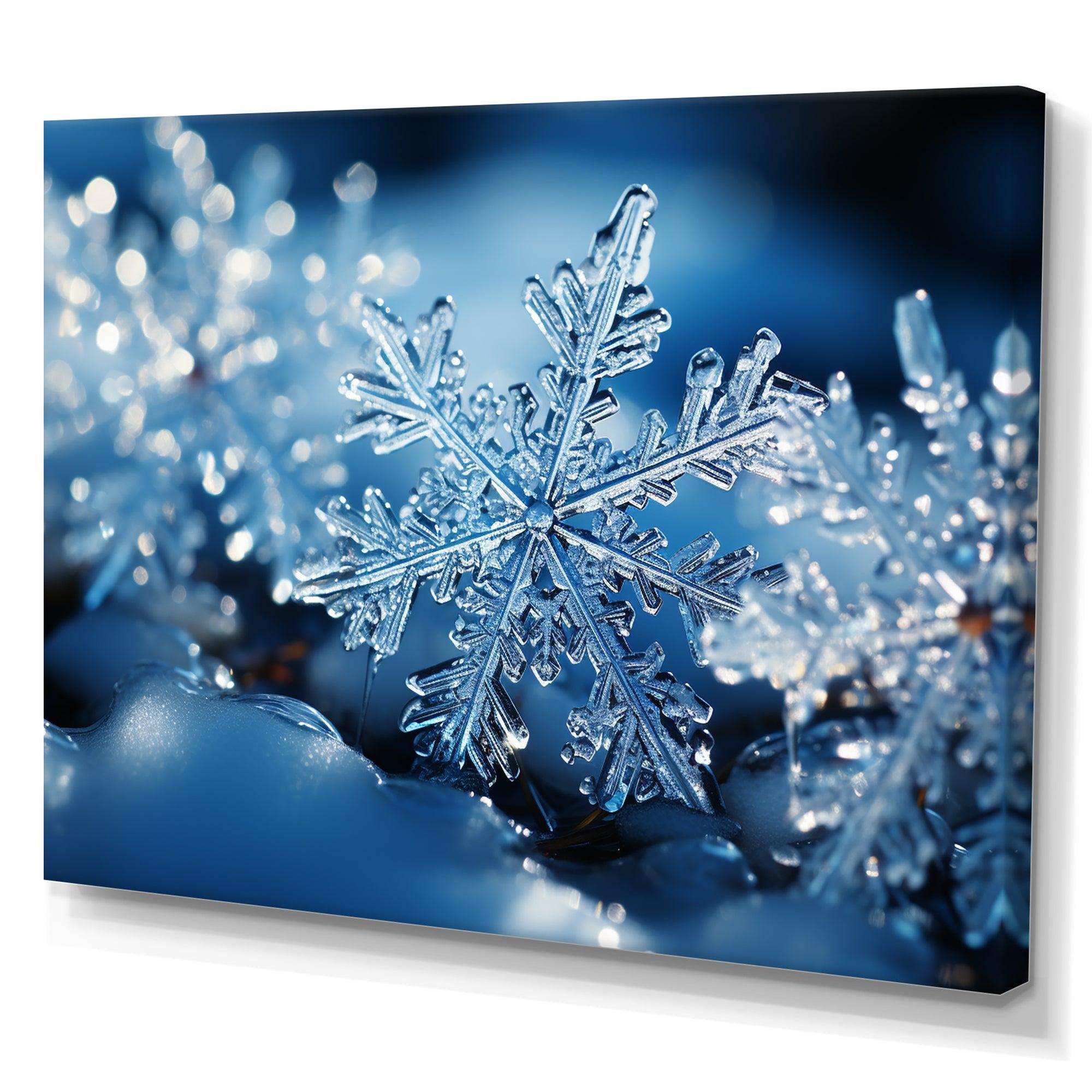 Glimmering Snowflakes II - Landscapes Canvas Wall Art