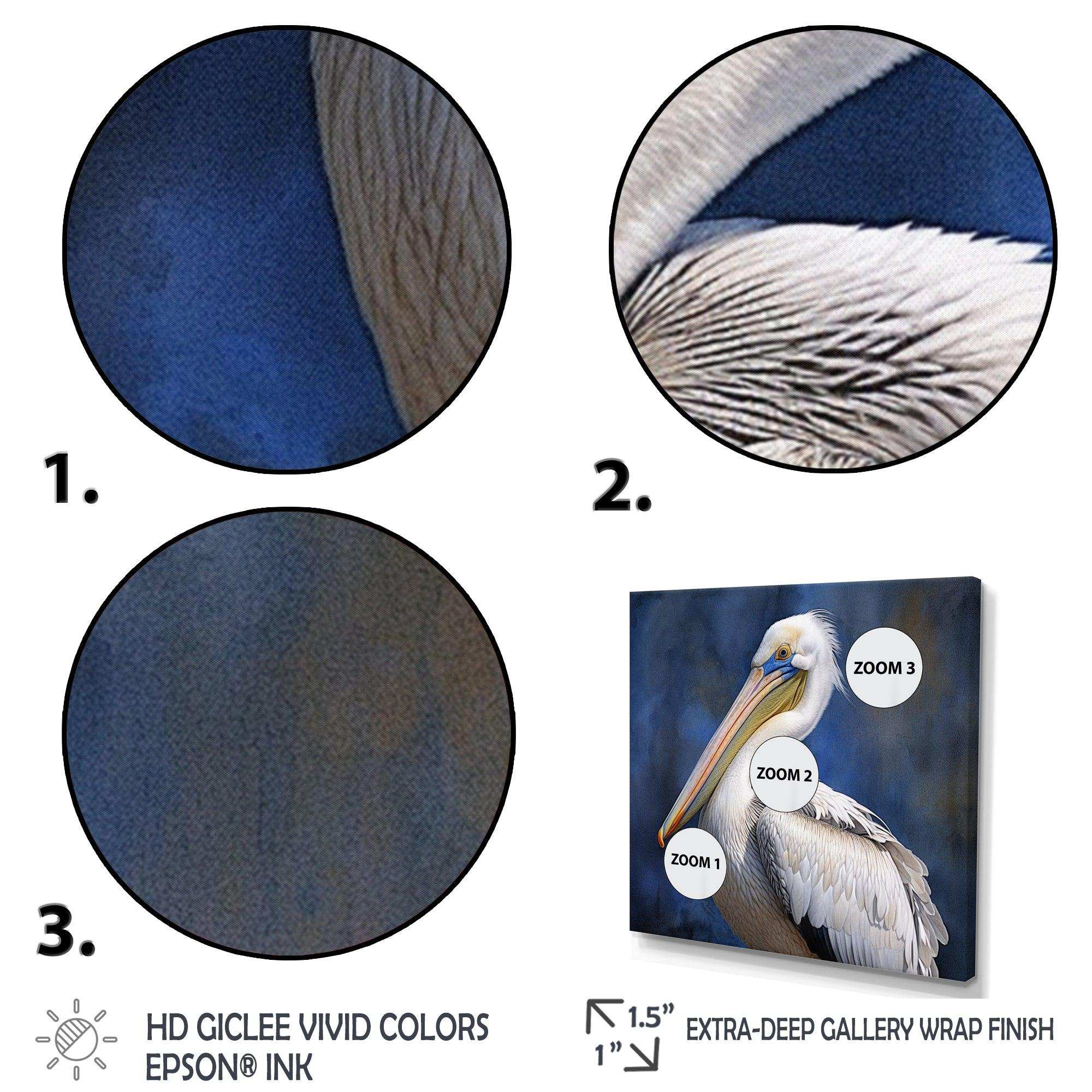 Majestic Pelican Seabird V - Animals Canvas Wall Art