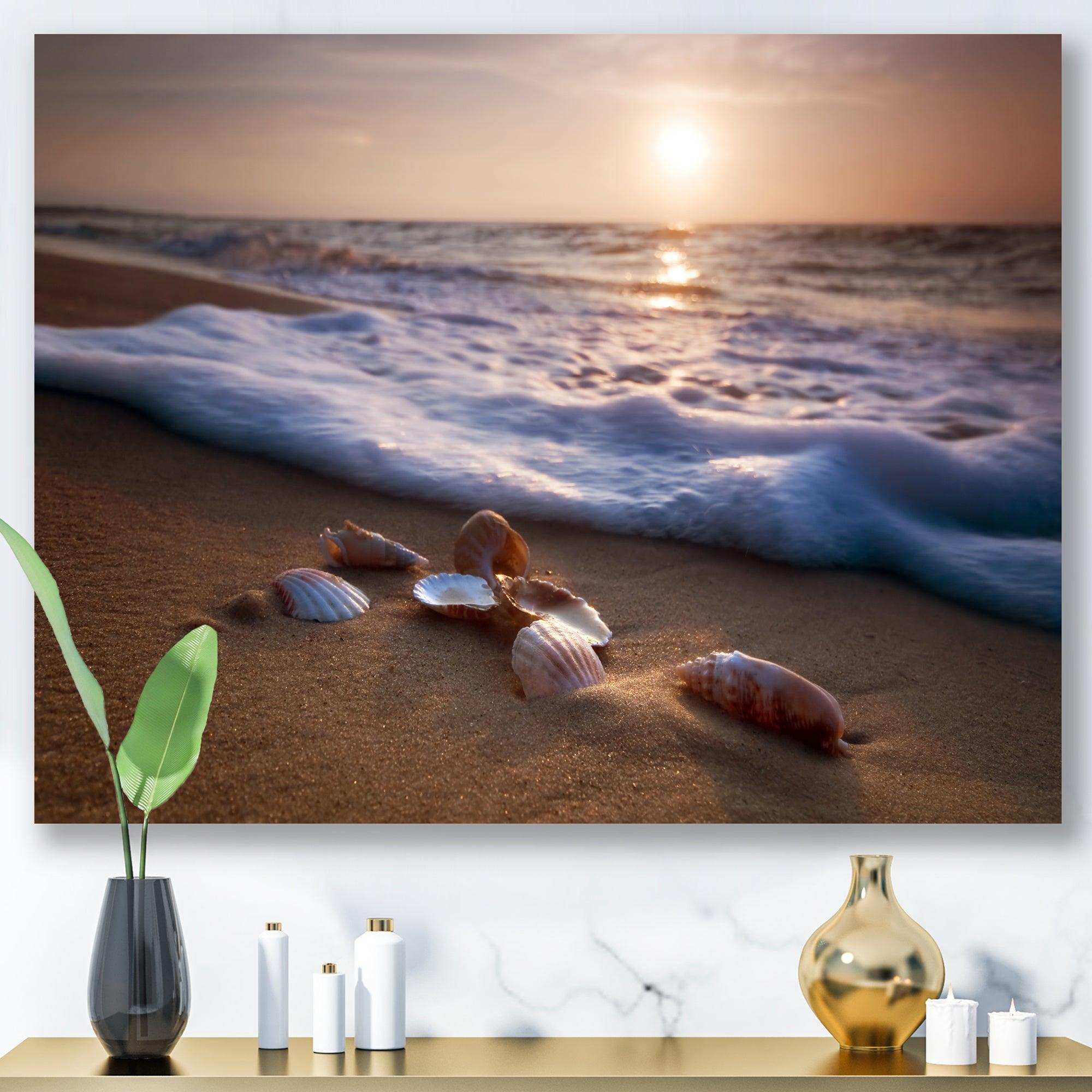 Waves Approaching Seashells on Sand
